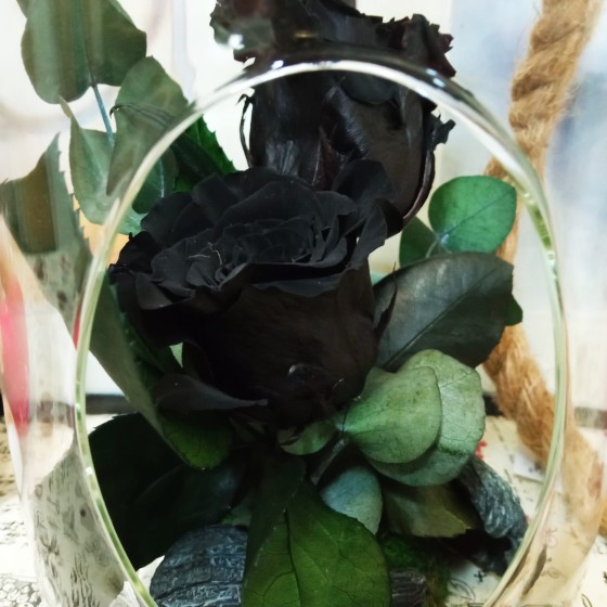 Botella Rosas Eternas Negras